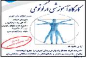 کارگاه آموزشی ارگونومی برای  دانشجویان علوم پزشکی